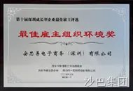 深圳市成长型企业 「最佳雇主组织环境奖」